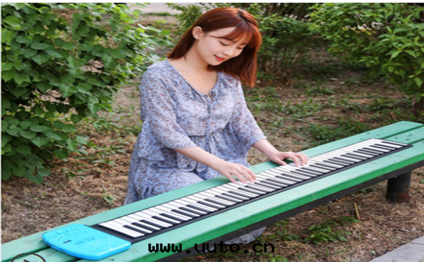 鋼(gāng)琴按键 鋼(gāng)琴按键